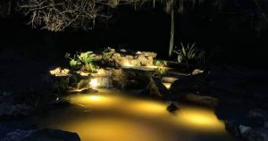 Recreational Pond at night