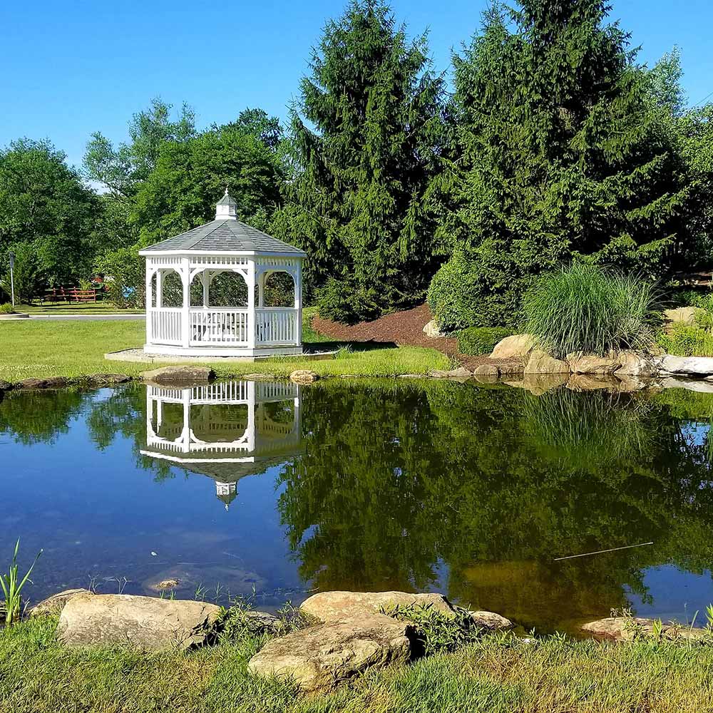 Large-Pond-in-a-Public-Park