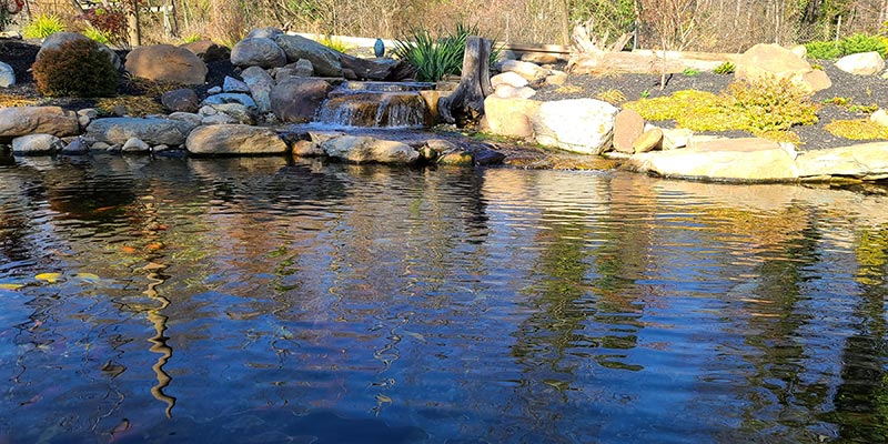 Large-Rock-Swimming-Pond