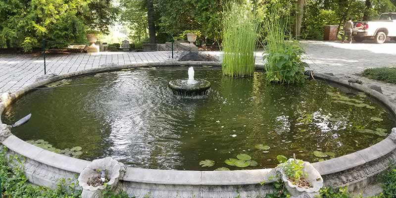 Minimalist-Pond-with-Small-Central-Fountain
