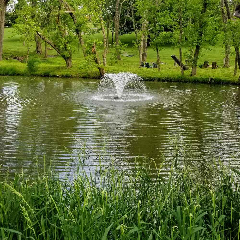 Natural Pond Fountain