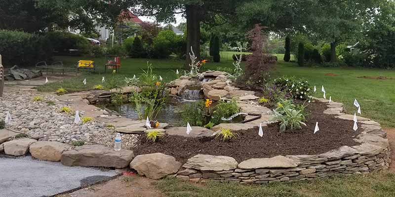 Replanting-a-Small-Manicured-Garden-Pond