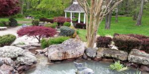 Well-Curated-Garden-Pond