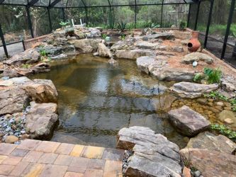 Swim Pond