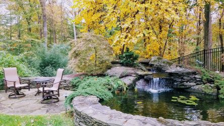 Pond in McLean