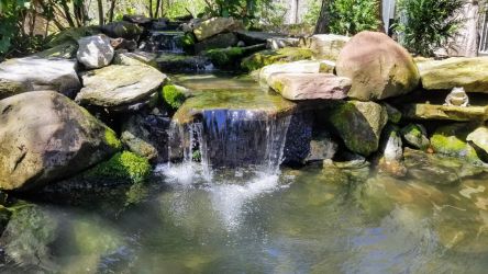 Pond in Solomon Island, MD