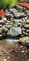 Pondless stream in Bethesda