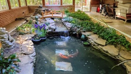 Indoor Pool-to-pond conversion