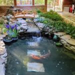 Indoor Pool-to-pond conversion