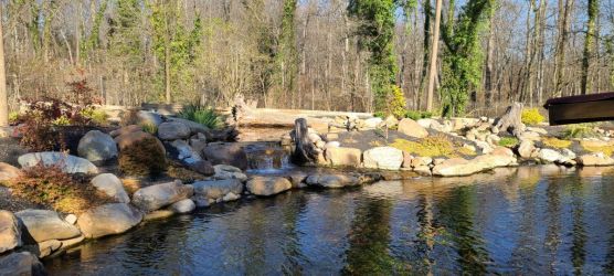 Pond with wetland filter at the Catoctin Wildlife Preserve