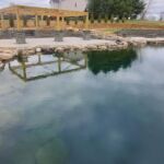 Natural Swim Pond