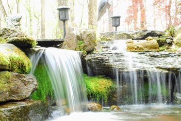 Pond in Ellicott City