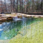 Swimming Pond in Maryland Swimming Pond in Maryland