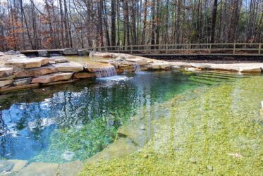 Swimming Pond in Maryland