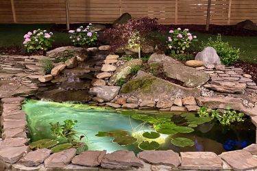 Pond at night