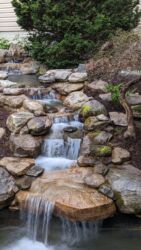 Pond In Ellicott City