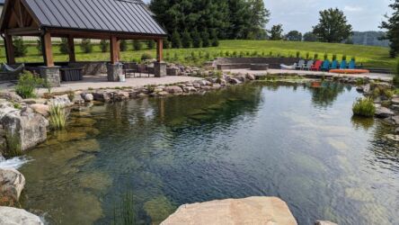 Natural Swimming Pond