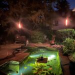 Pond at night Pond at Night