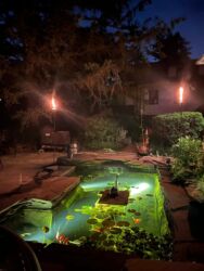 Pond at Night