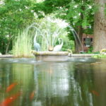Fountain in Montgomery County, MD Fountain in Montgomery County, MD