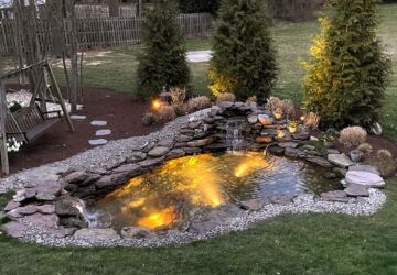 Pond Cleaning