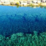 Swim Pond