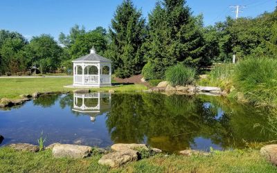 Pond in Fallston, MD