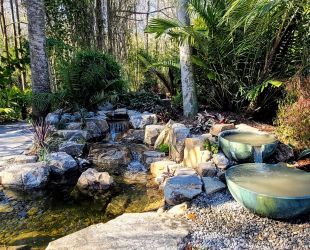 Swim Pond