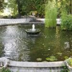 Minimalist-Pond-with-Small-Central-Fountain