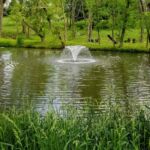 Natural Pond Fountain