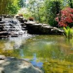 Pond in Columbia, Howard county Pond in Columbia, Howard county