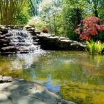 Pond in Carroll County Pond in Carroll County