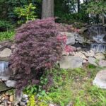 Pondless stream and waterfall Pondless stream and waterfall
