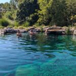 Natural Swim Pond Natural Swim Pond