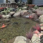 Pond in Carroll County Pond in Carroll County