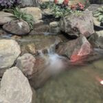 indoor pond indoor pond